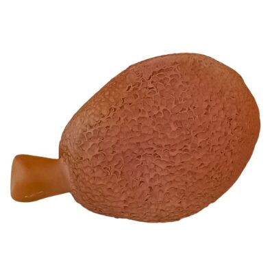 Jaca – Terracota – 22cm – Tamanho M