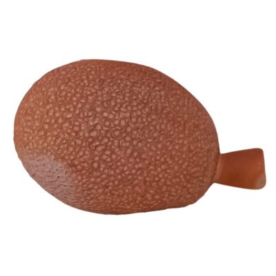 Jaca – Terracota – 22cm – Tamanho M