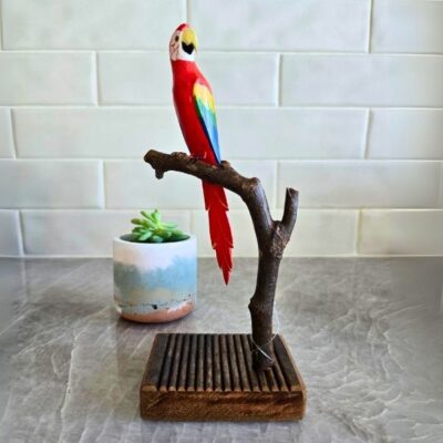 Arara Vermelha – no Galho – Madeira